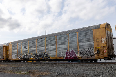 TTGX 716185