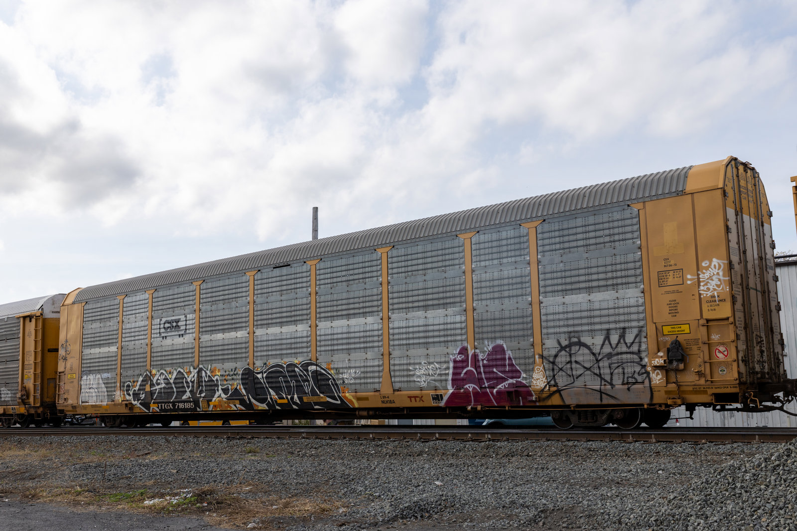 TTGX 716185