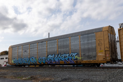TTGX 716051
