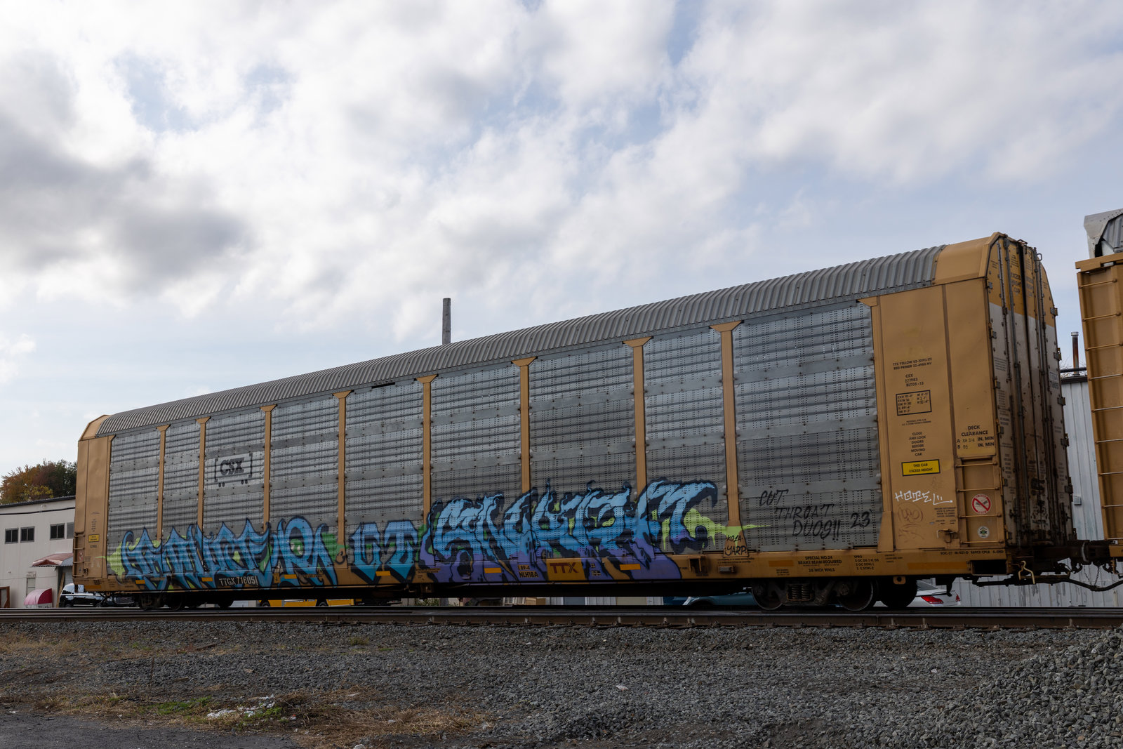 TTGX 716051