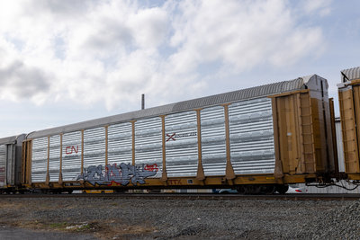 TTGX 709646