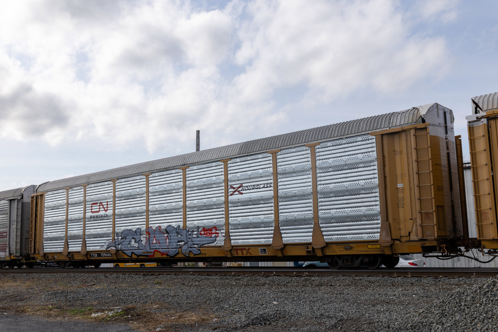 TTGX 709646