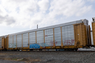 TTGX 701832