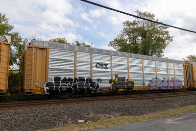 TTGX 709467