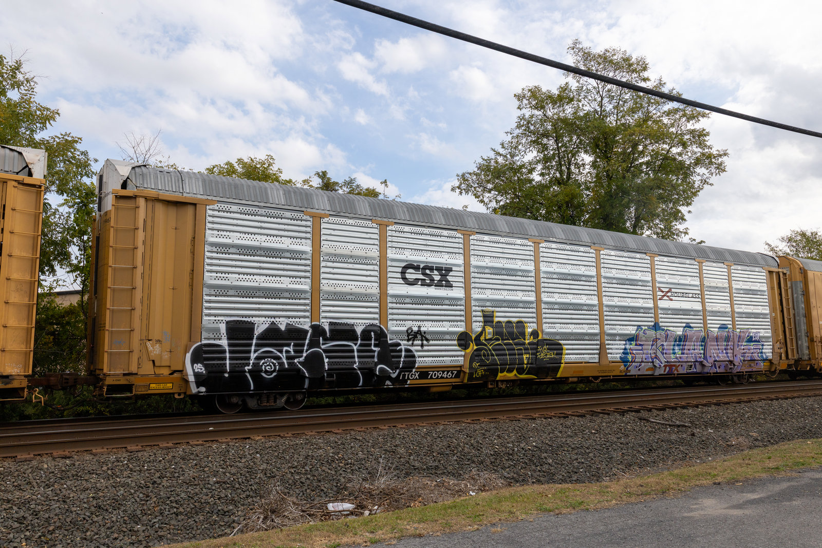 TTGX 709467