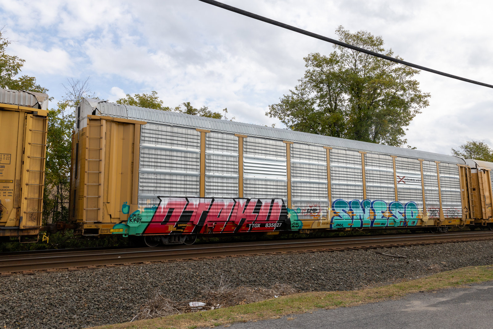 TTGX 835827