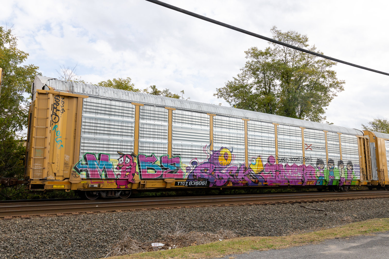 TTGX 836061