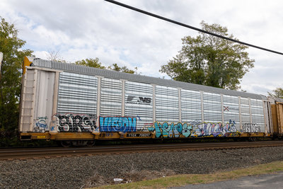 TTGX 708297