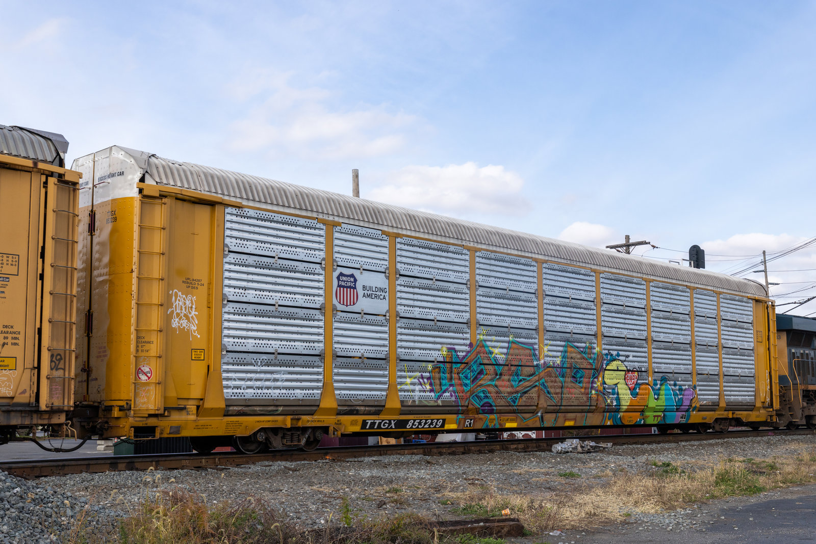 TTGX 853239