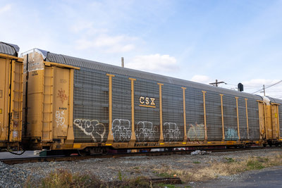 TTGX 851786