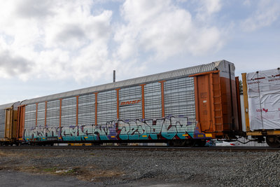 BNSF 300810