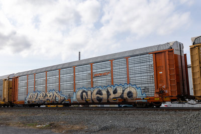 BNSF 302118