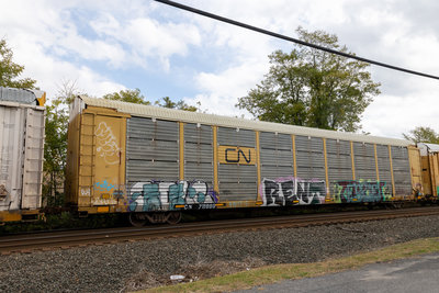CN 711999