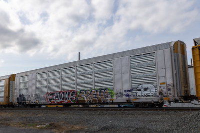 SFLC 307591