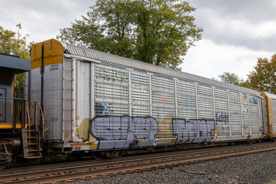 WRWK 300081