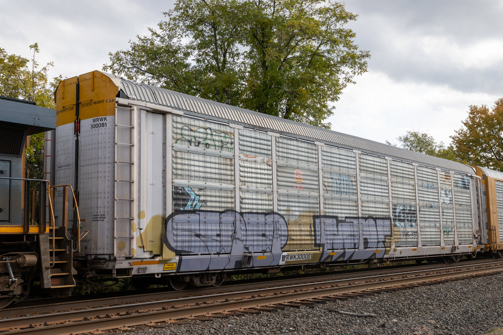 WRWK 300081