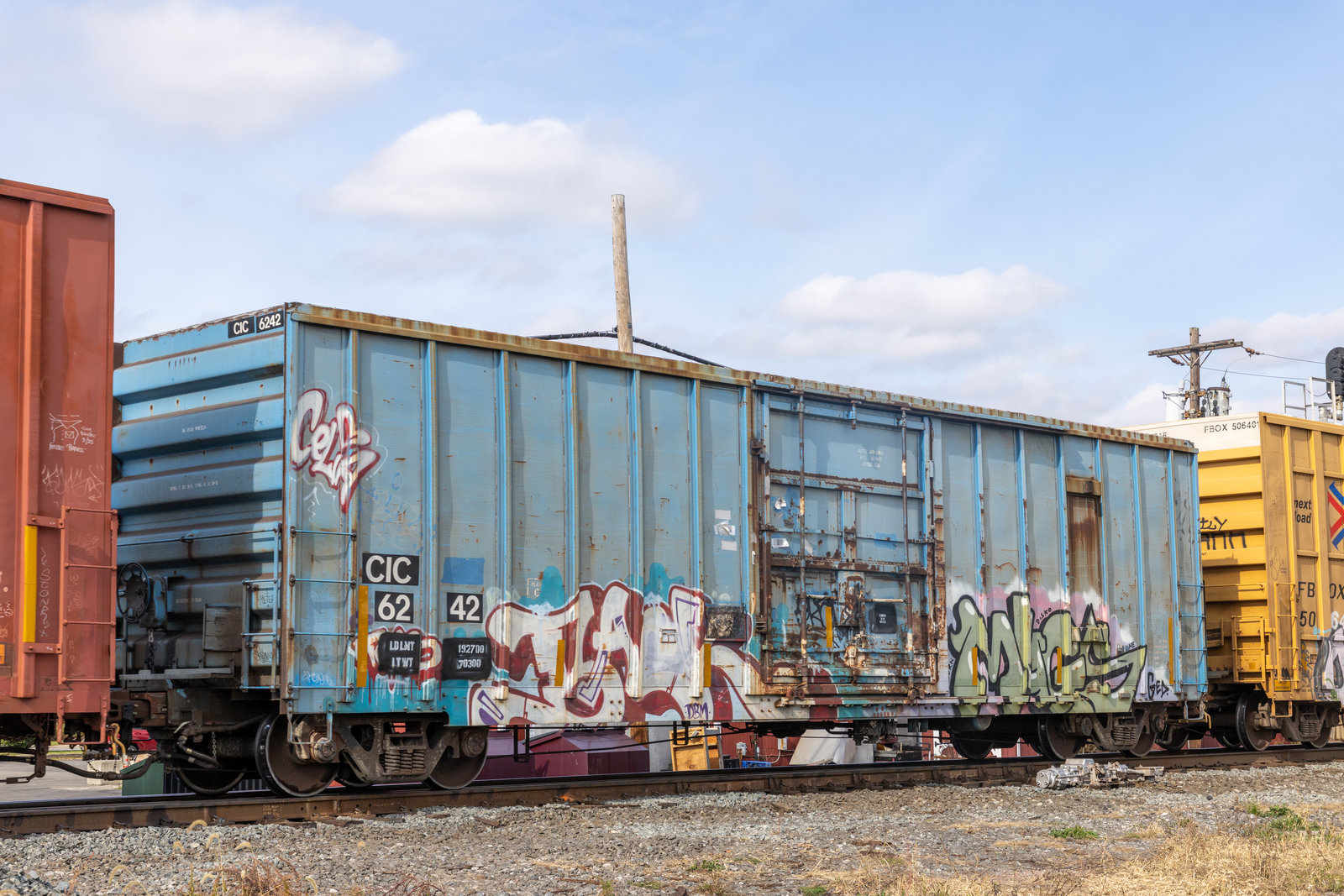 CIC 6242