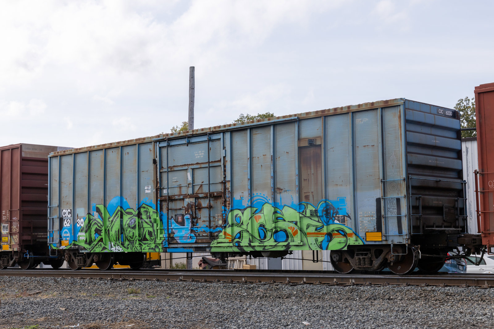 CIC 6230