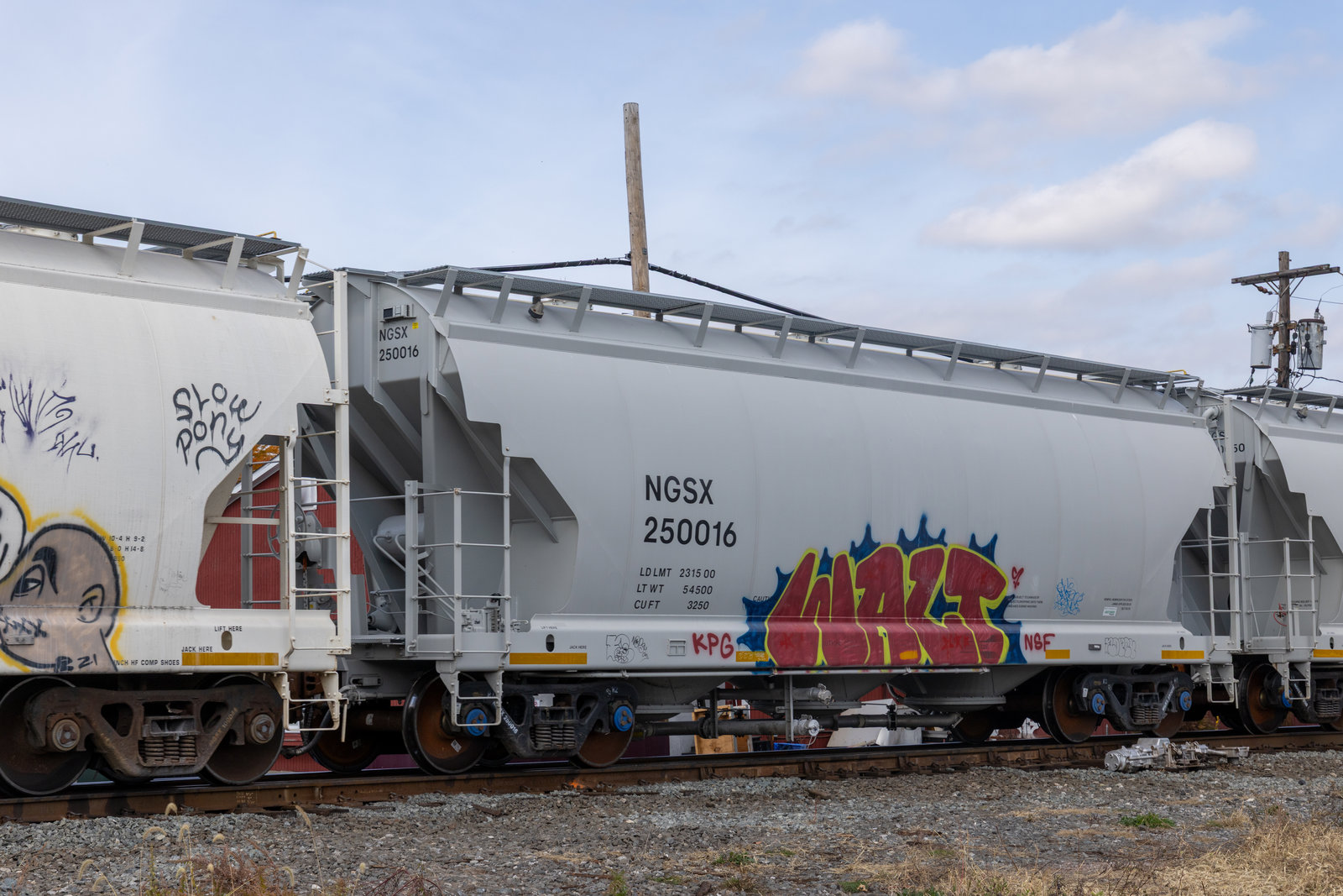 NGSX 250016