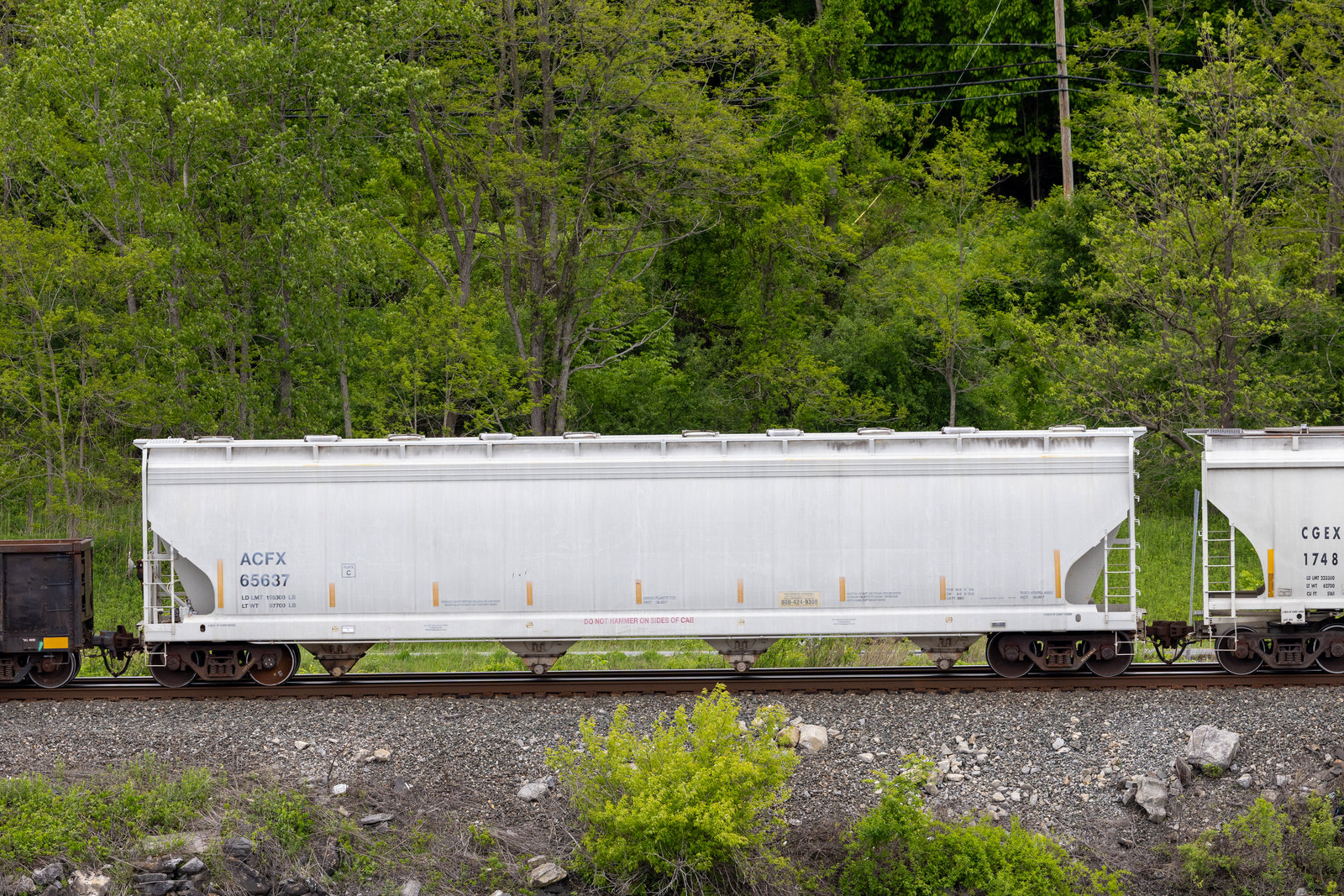 ACFX 65637