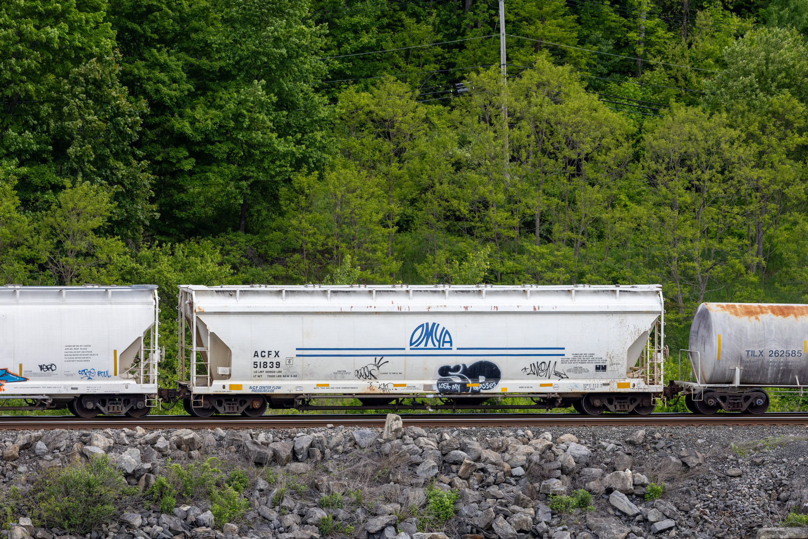 ACFX 51839