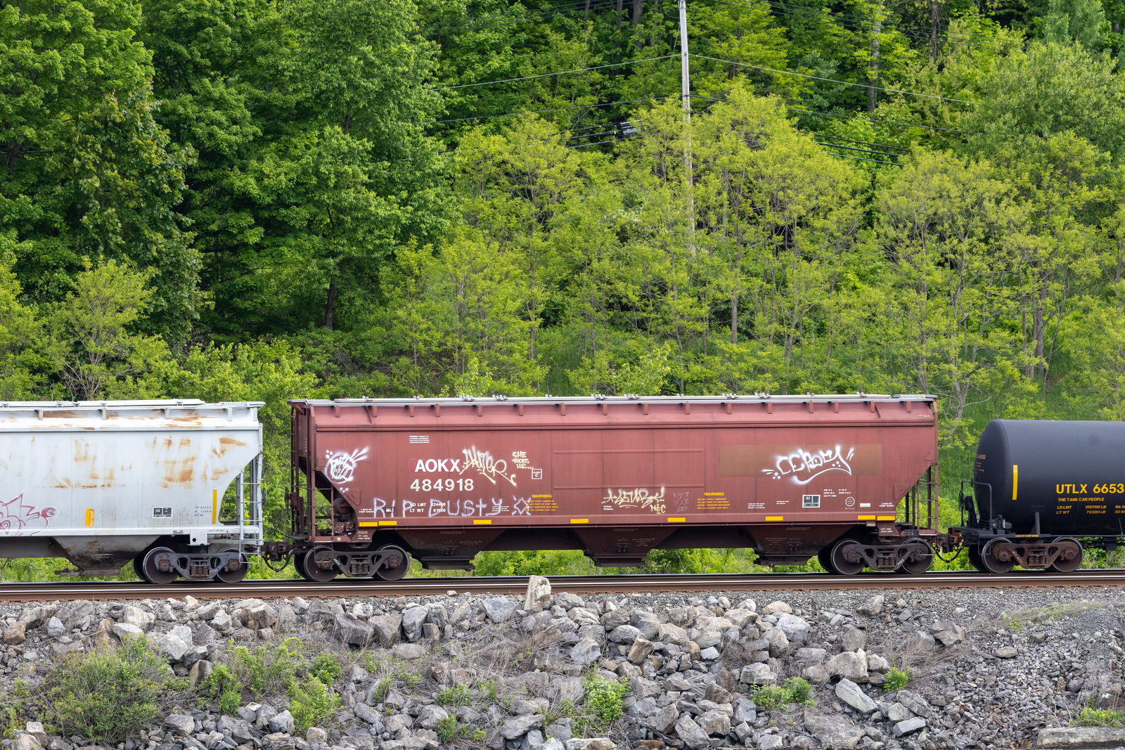AOKX 484918