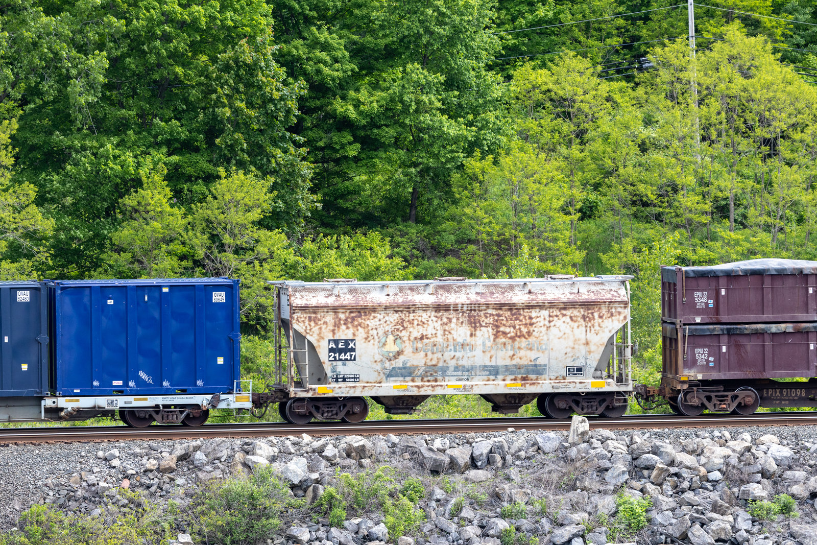 AEX 21447