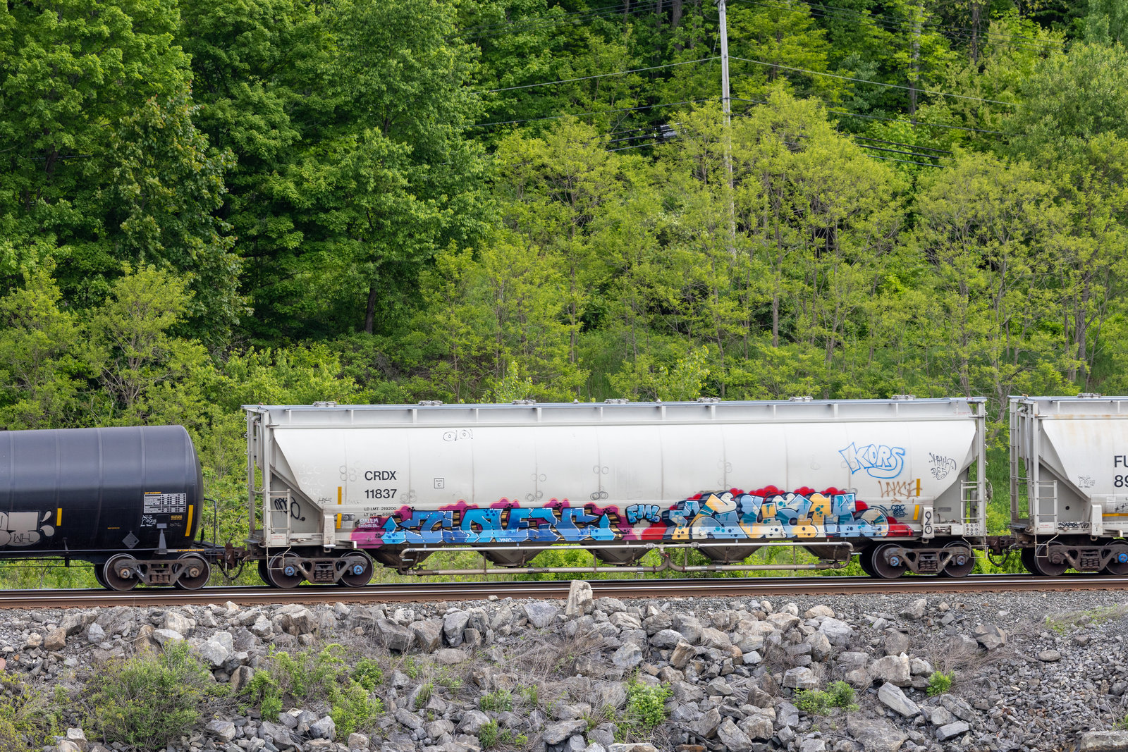 CRDX 11837