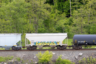 CRDX 21883