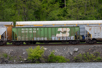 BN 460444