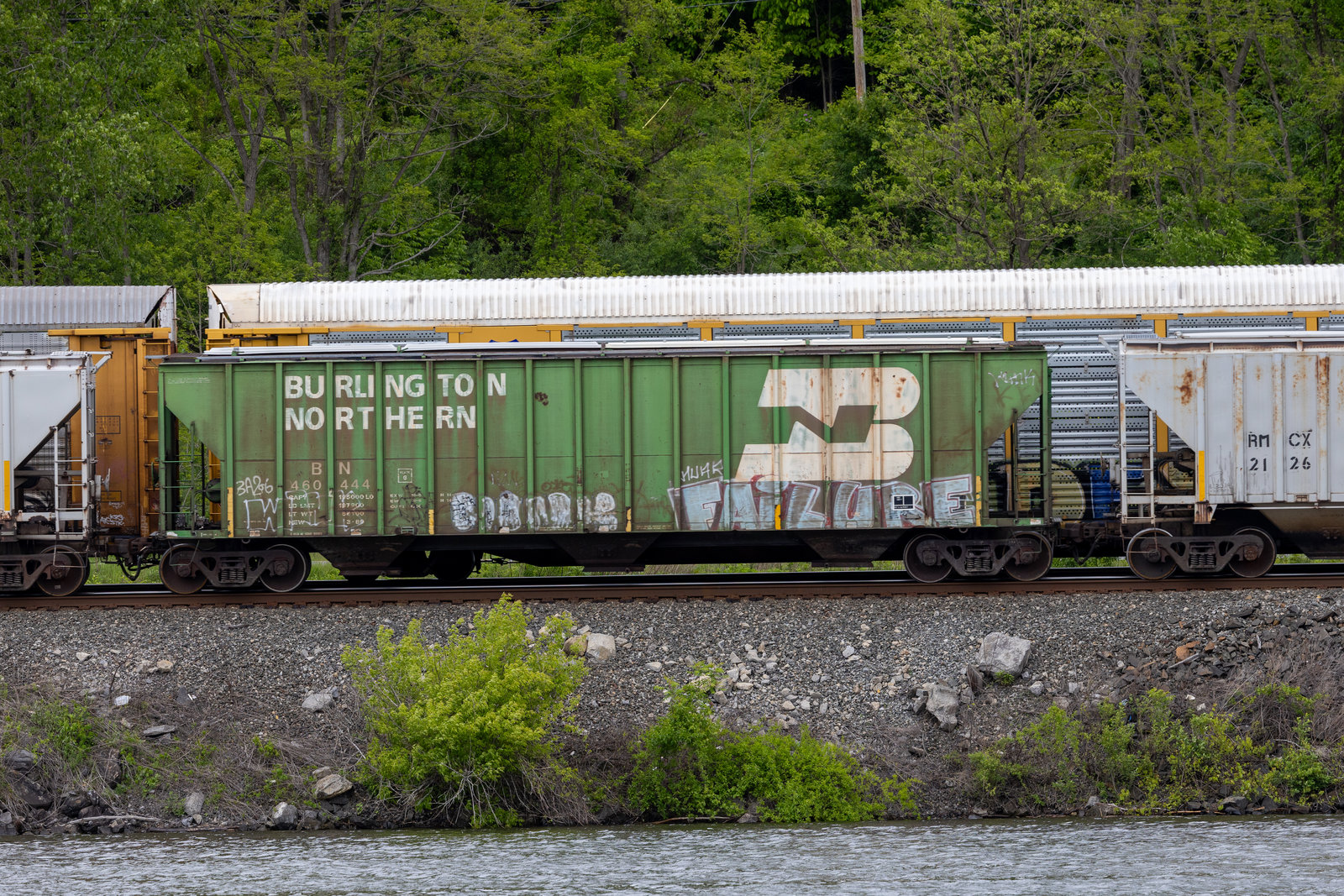BN 460444