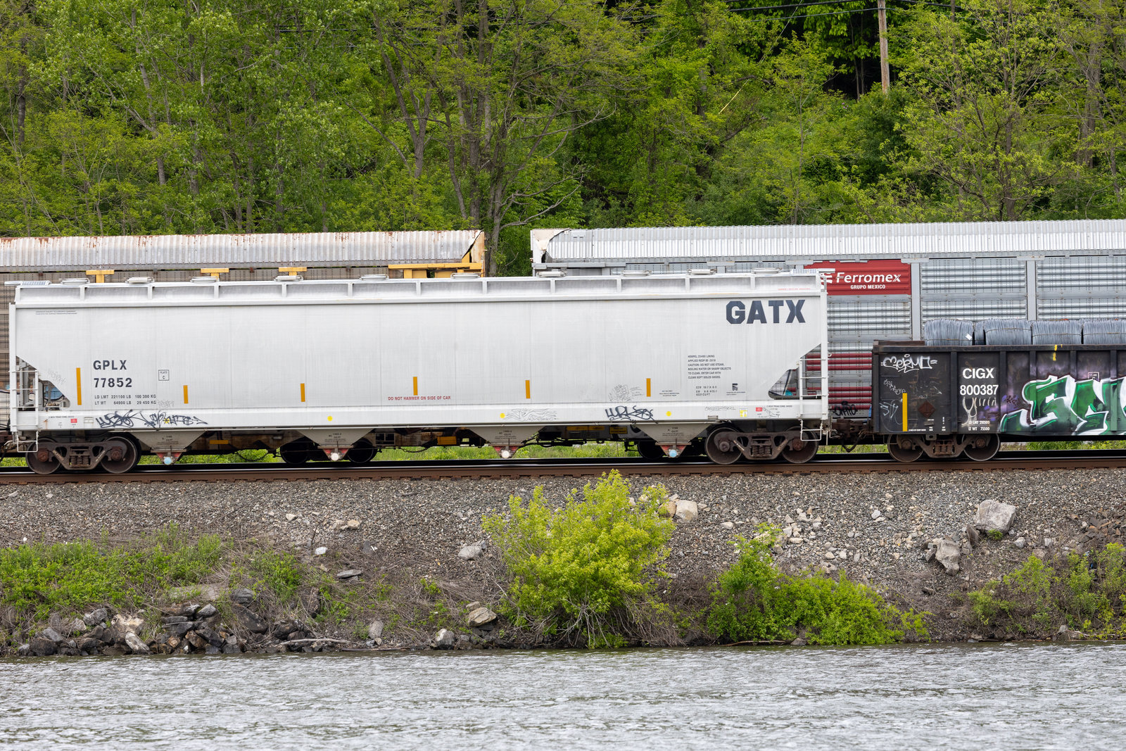 GPLX 77852