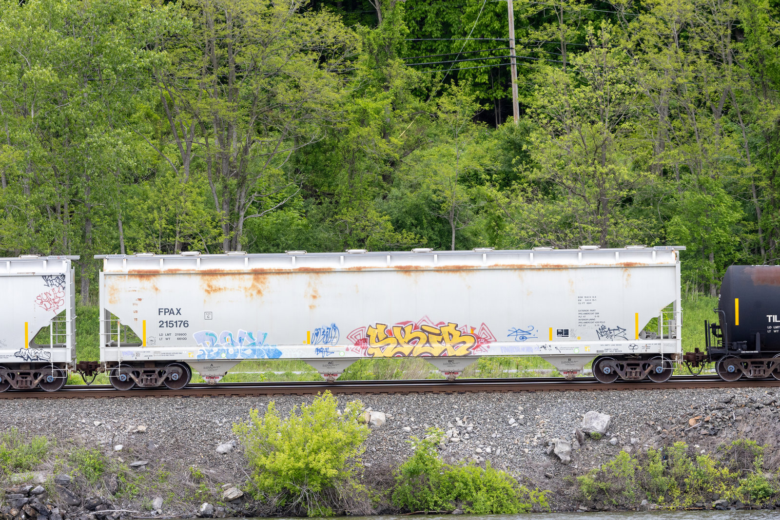 FPAX 215176