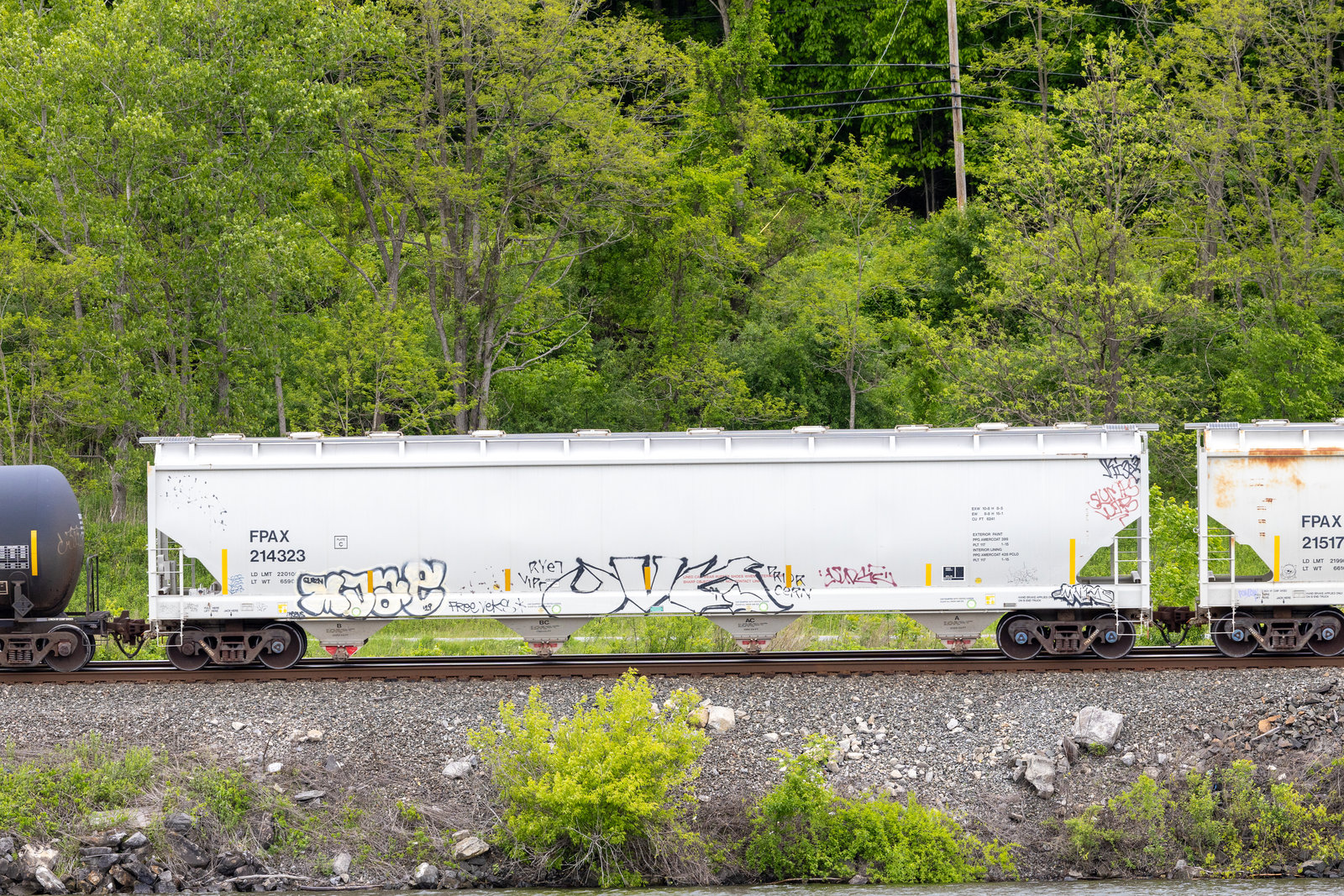 FPAX 214323