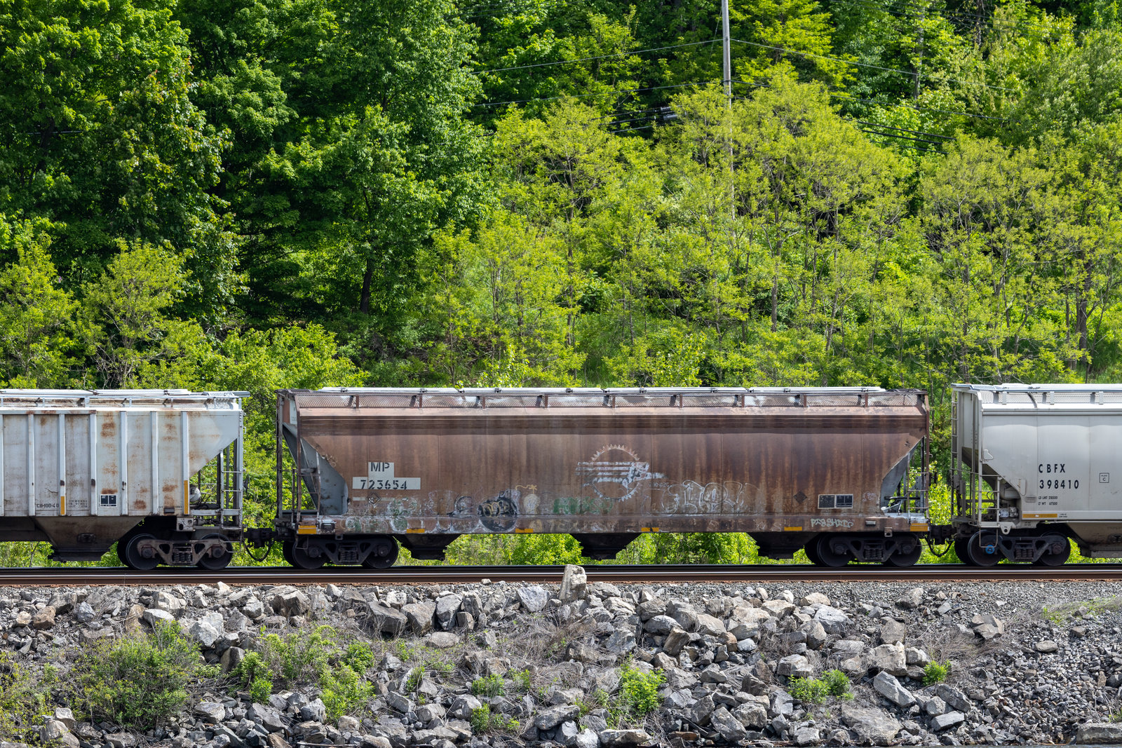 MP 723654