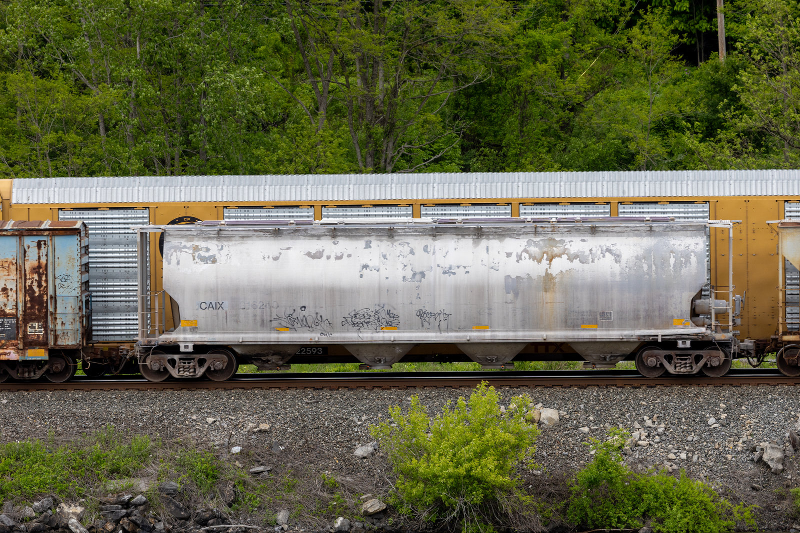 CAIX 316240