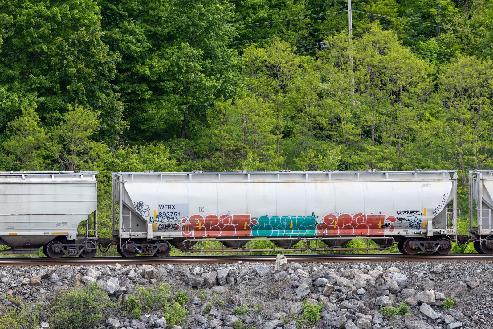 WFRX 893751