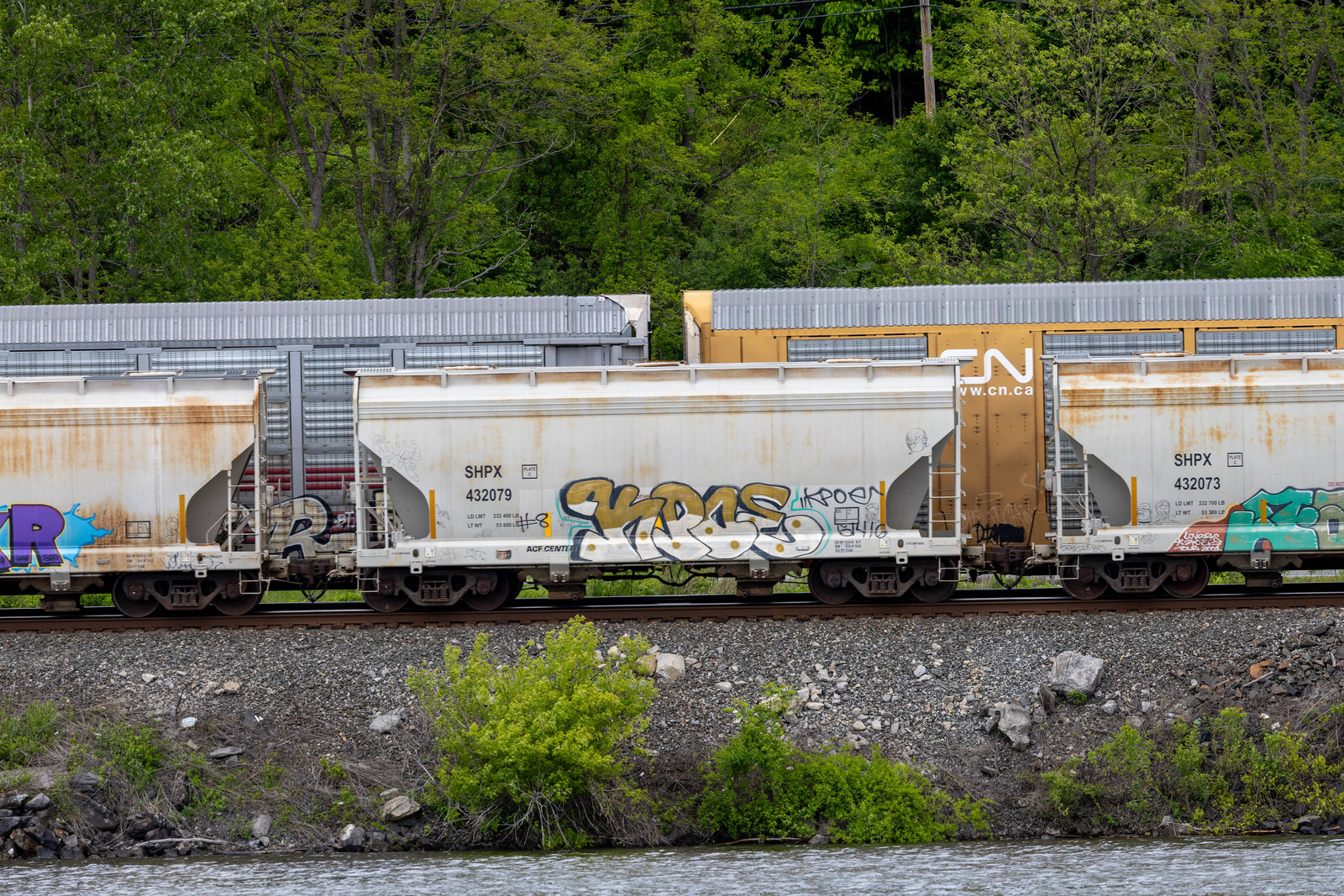 SHPX 432079