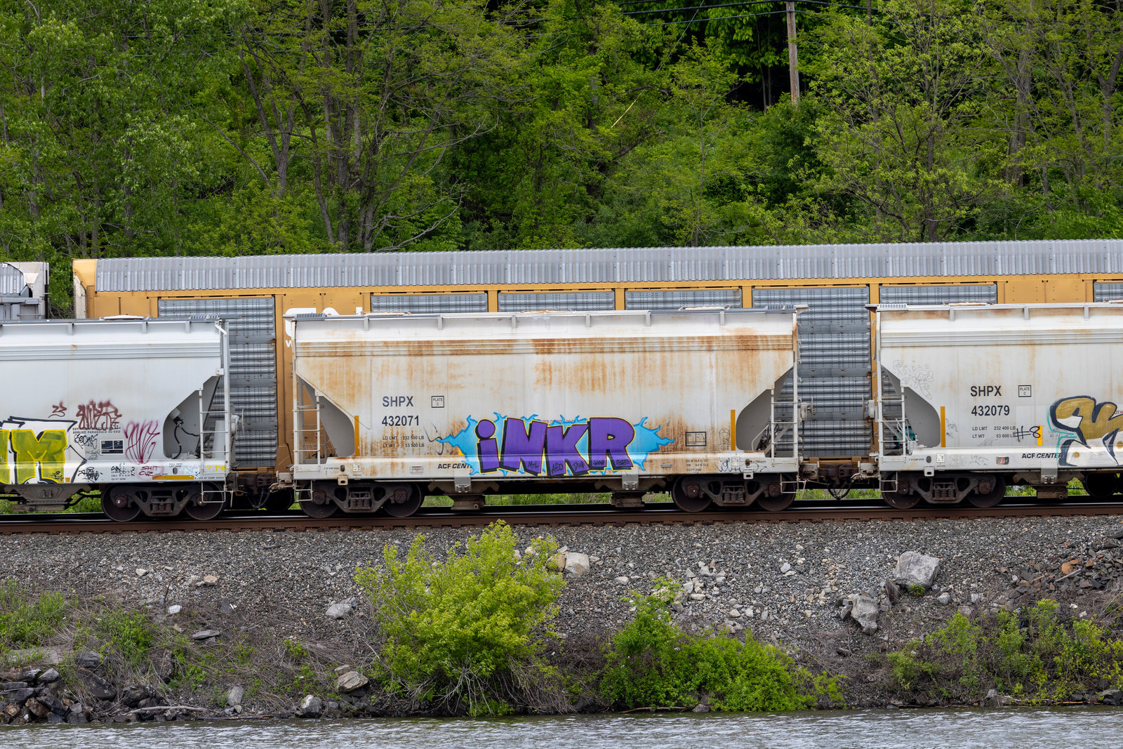 SHPX 432071