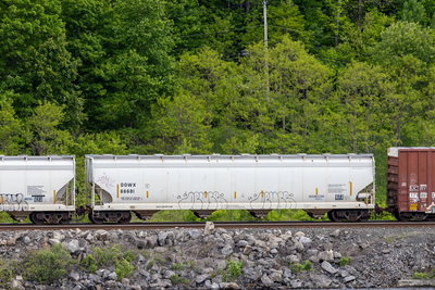 DOWX 66681