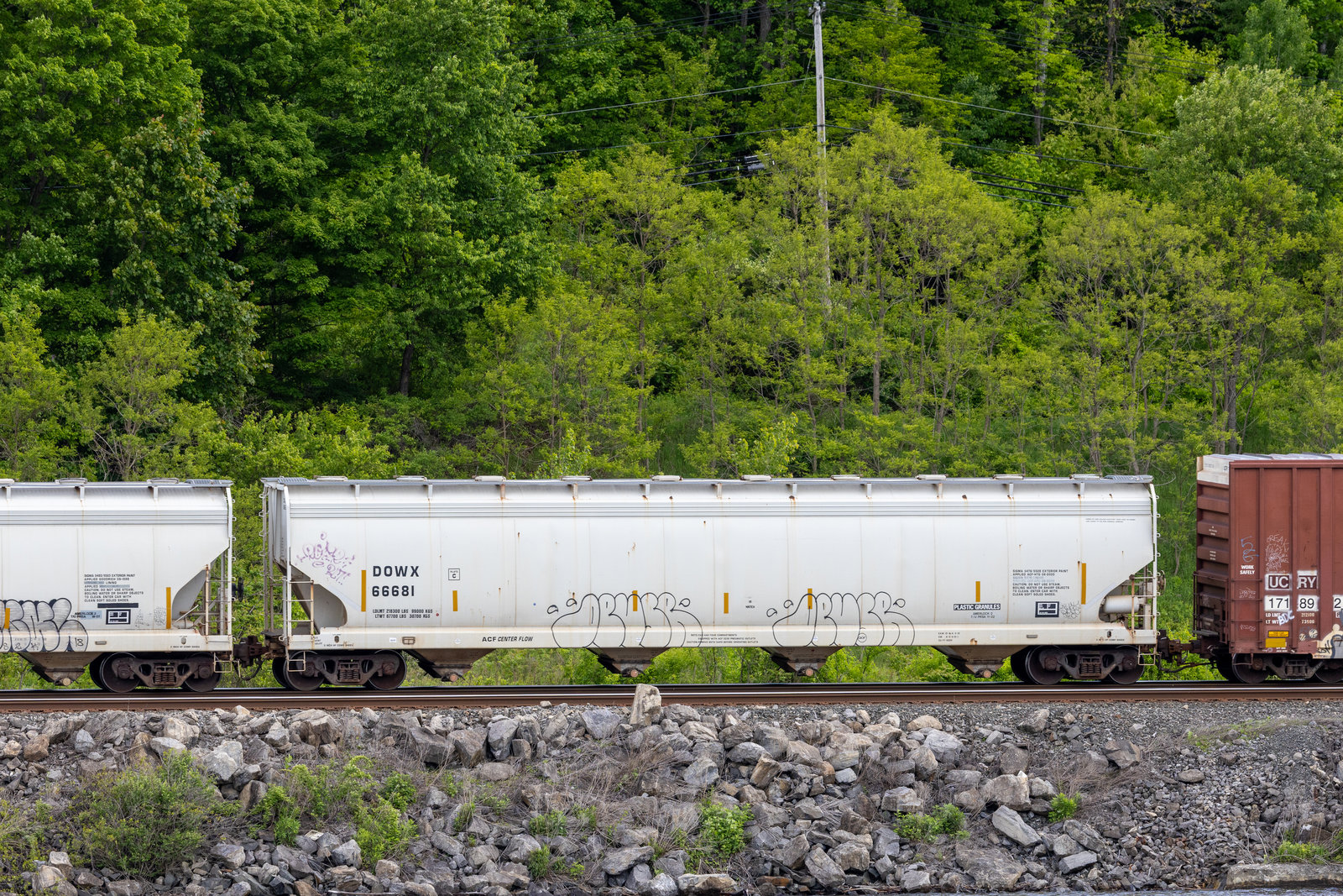 DOWX 66681