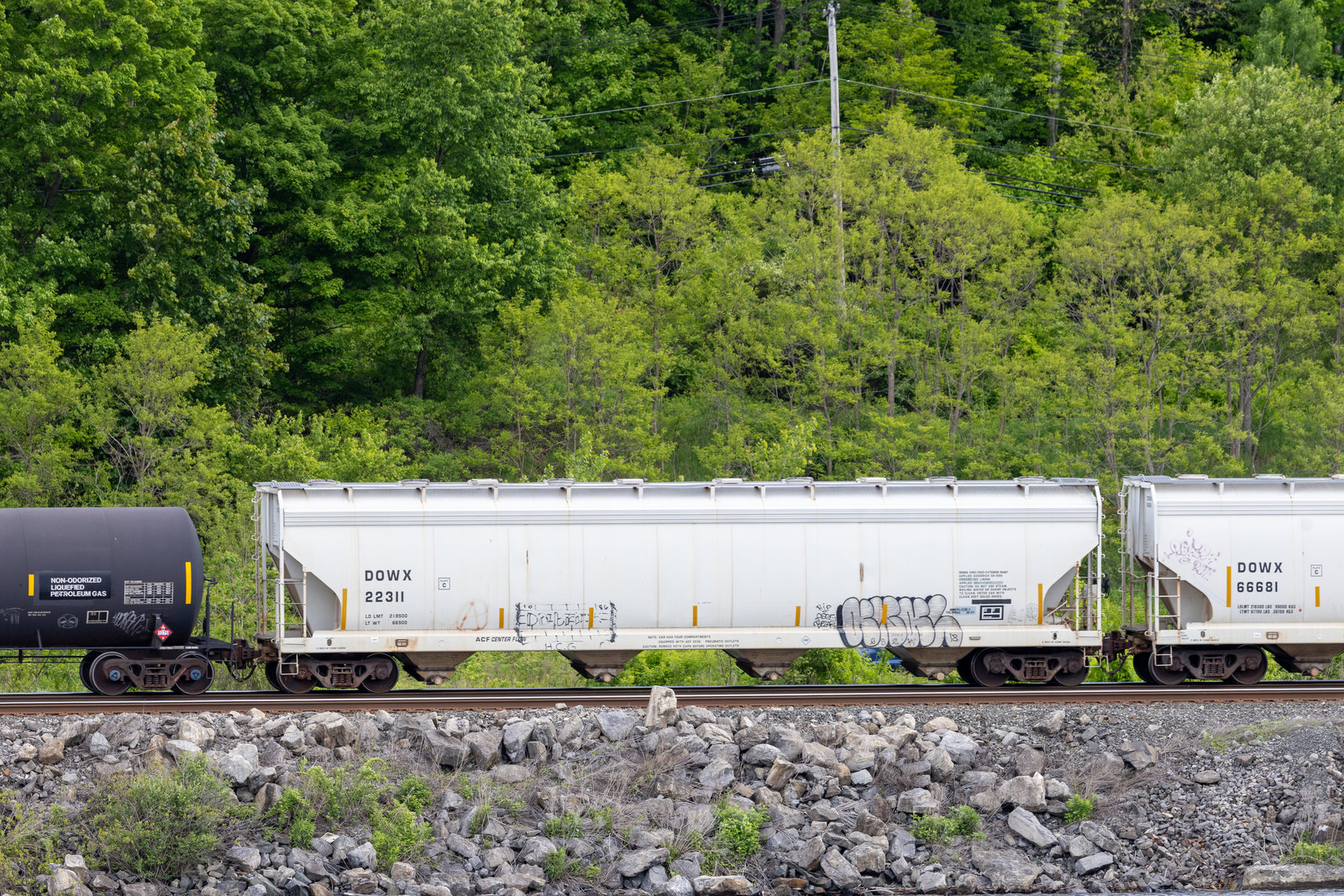 DOWX 22311