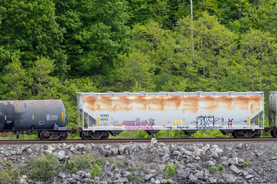XOMX 48142