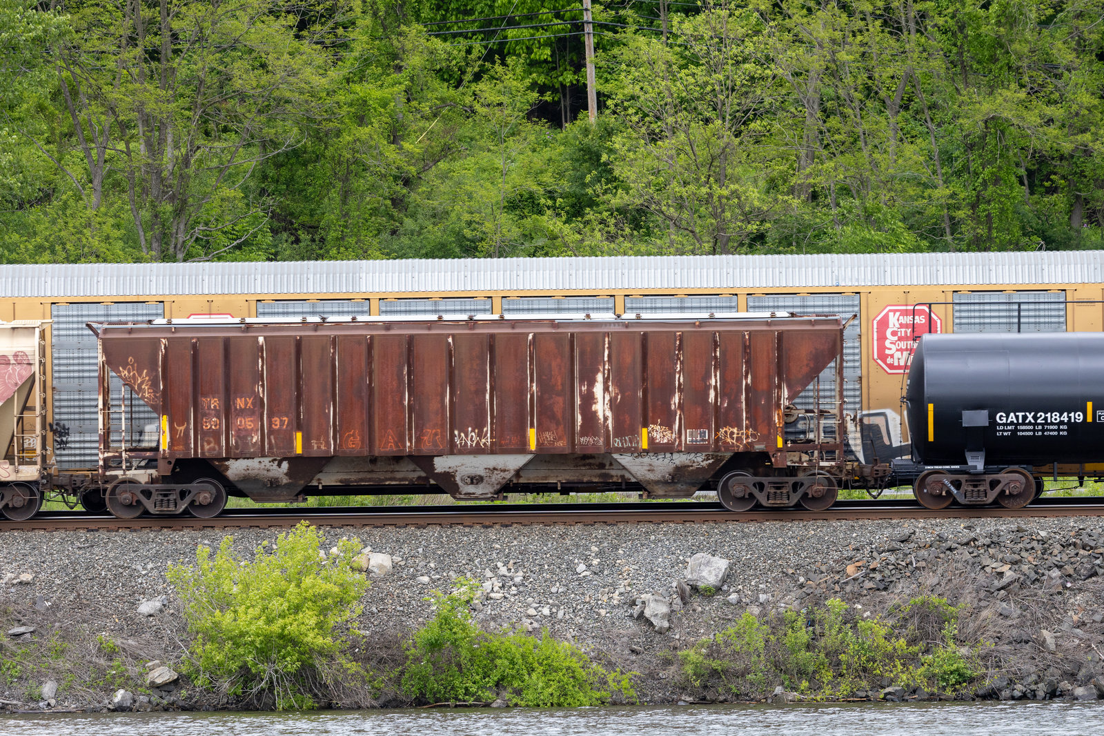 TRNX 500597