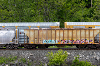 LANX 8136
