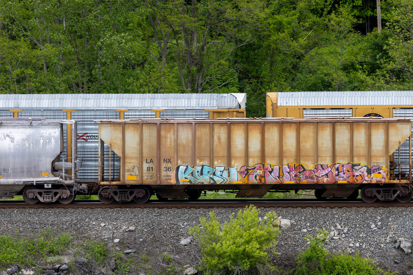 LANX 8136