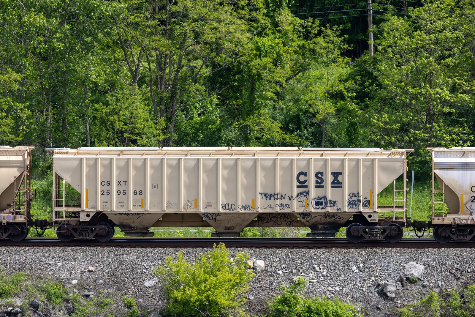 CSXT 259568