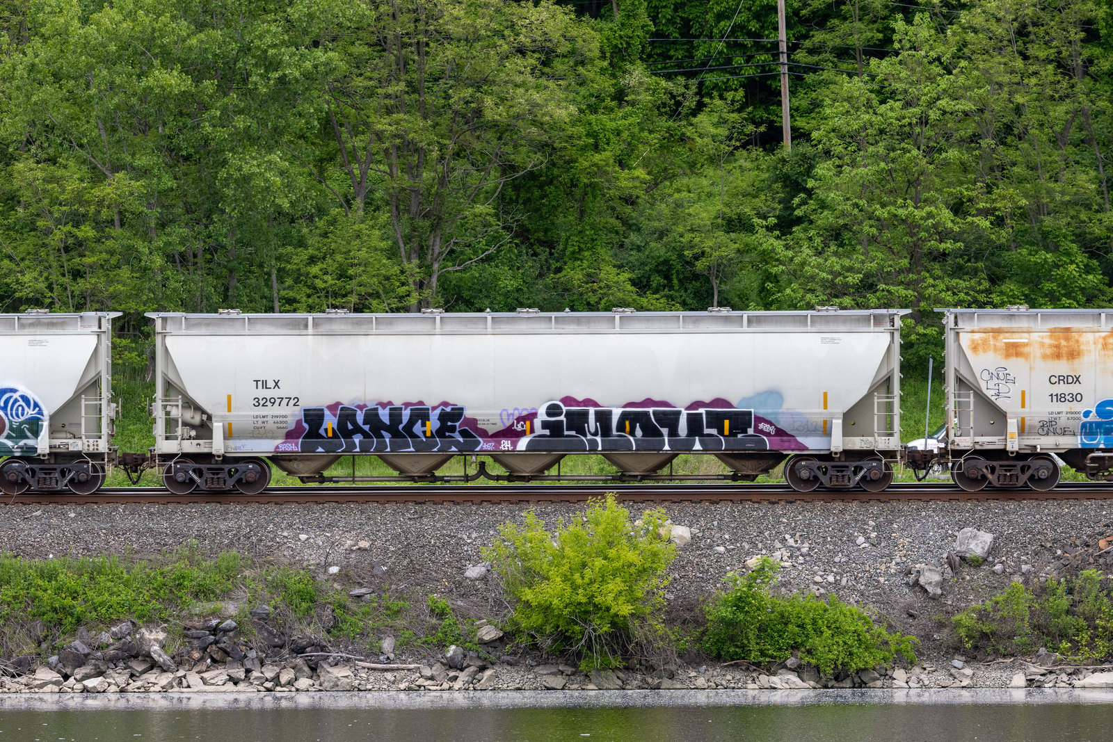 TILX 329772