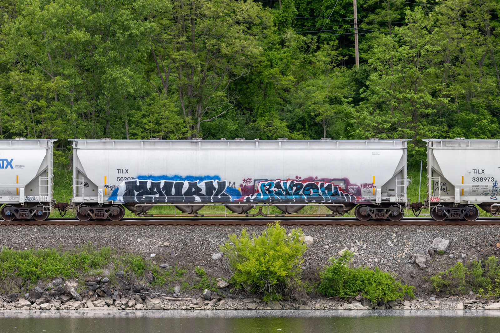 TILX 56207