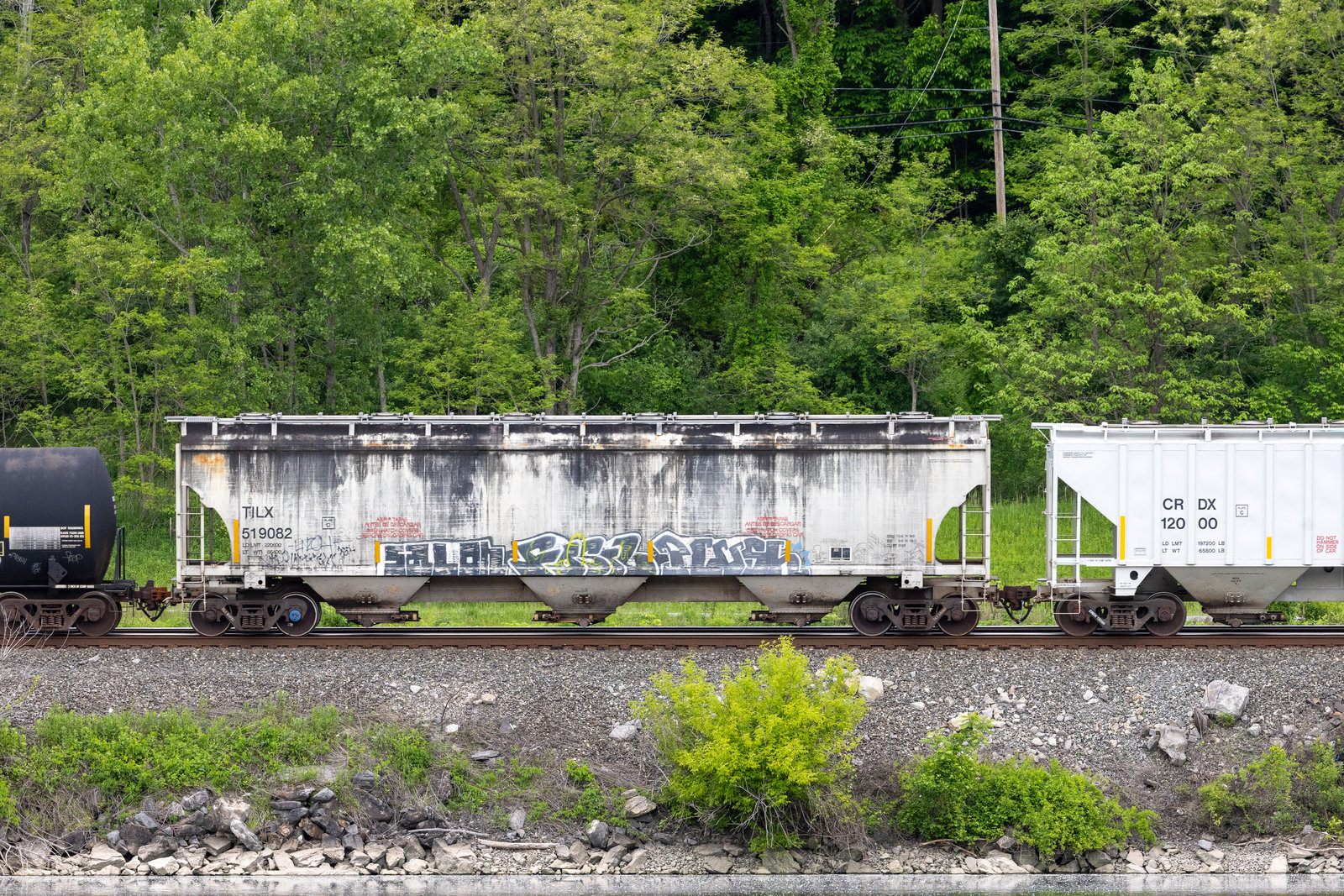 TILX 519082